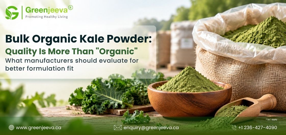 Organic Kale Powder: How Quality, Color & Particle Size Affect Formulation Performance